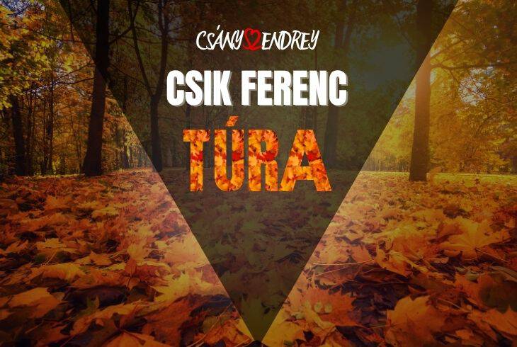 Csik tra 2025